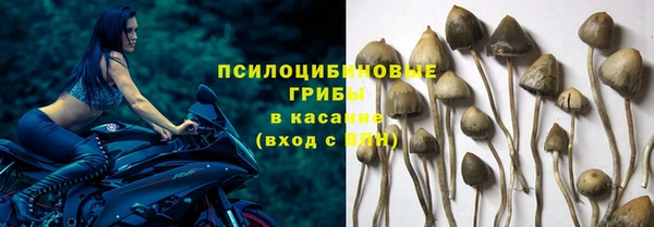 кокаин перу Алзамай