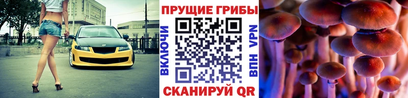 продажа наркотиков Черногорск Псилоцибиновые грибы Psilocybe